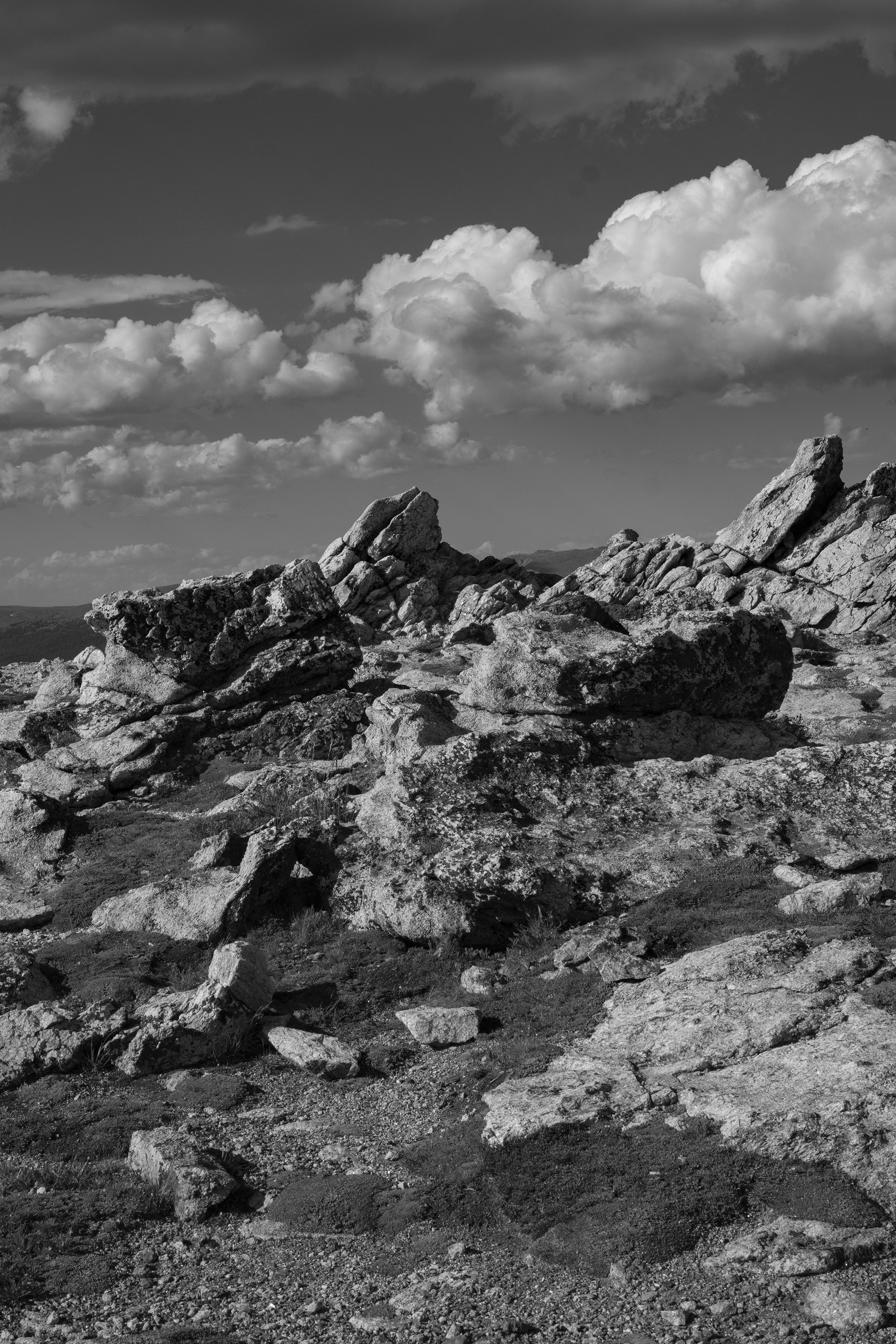 Tundra rocks, Rocky Mountain National Park / Darker than Green