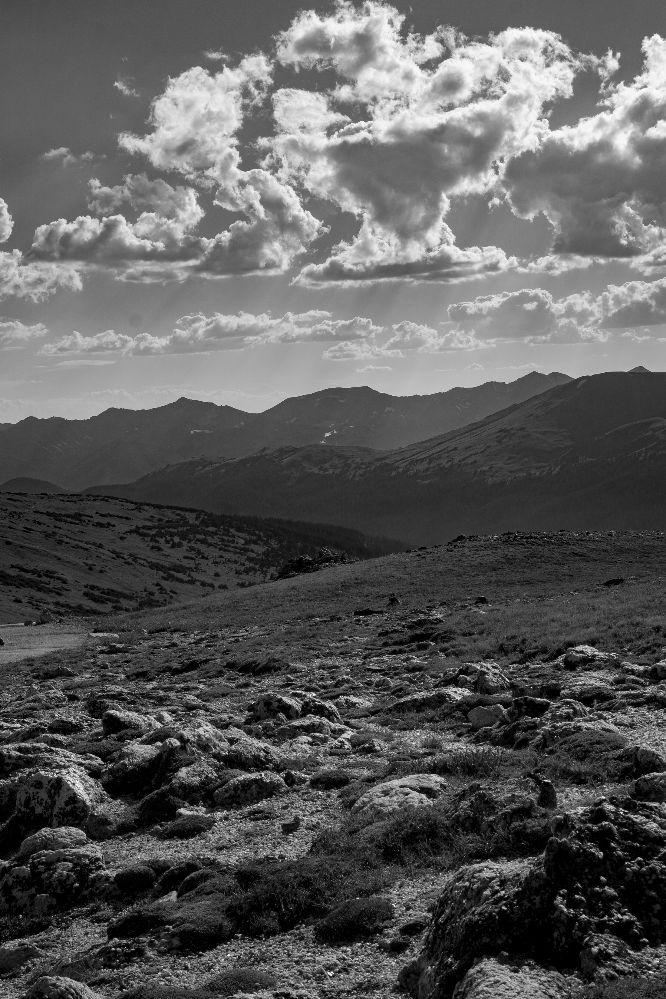 Rocky Mountain National Park / Darker than Green