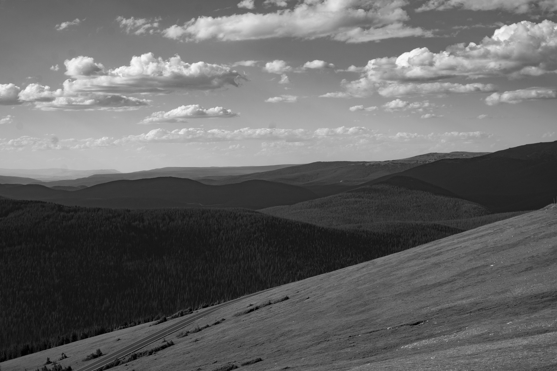 Tundra along Trail Ridge Road, Rocky Mountain National Park / Darker than Green