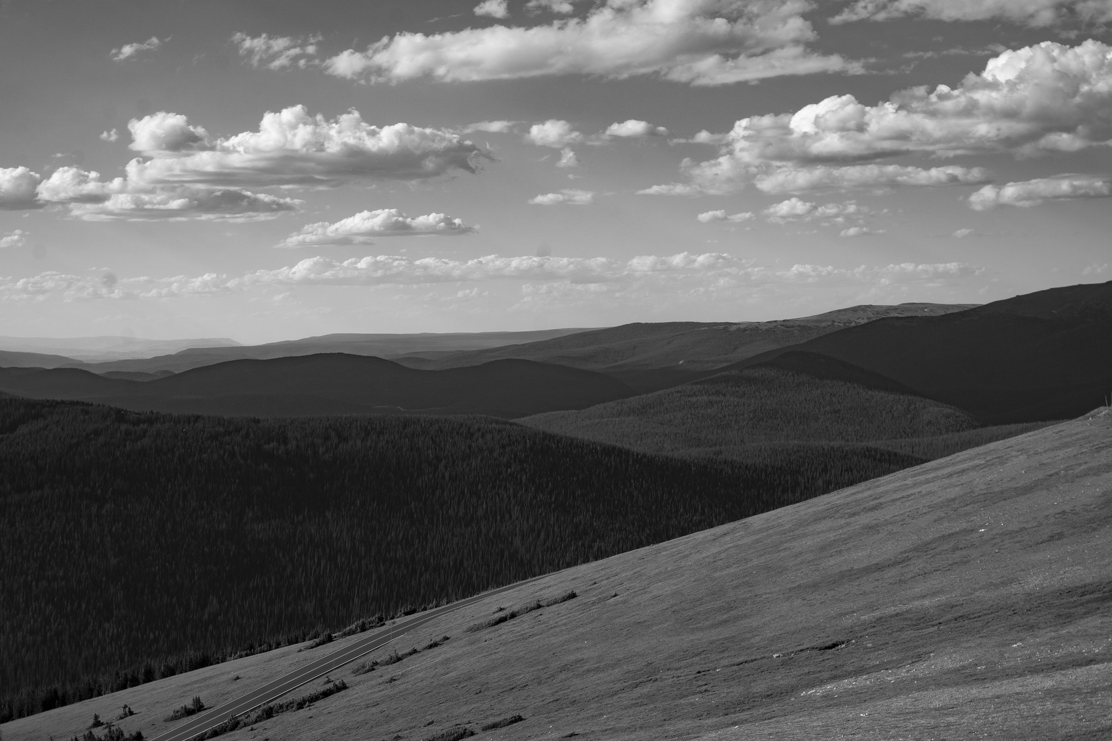 Tundra along Trail Ridge Road, Rocky Mountain National Park / Darker than Green