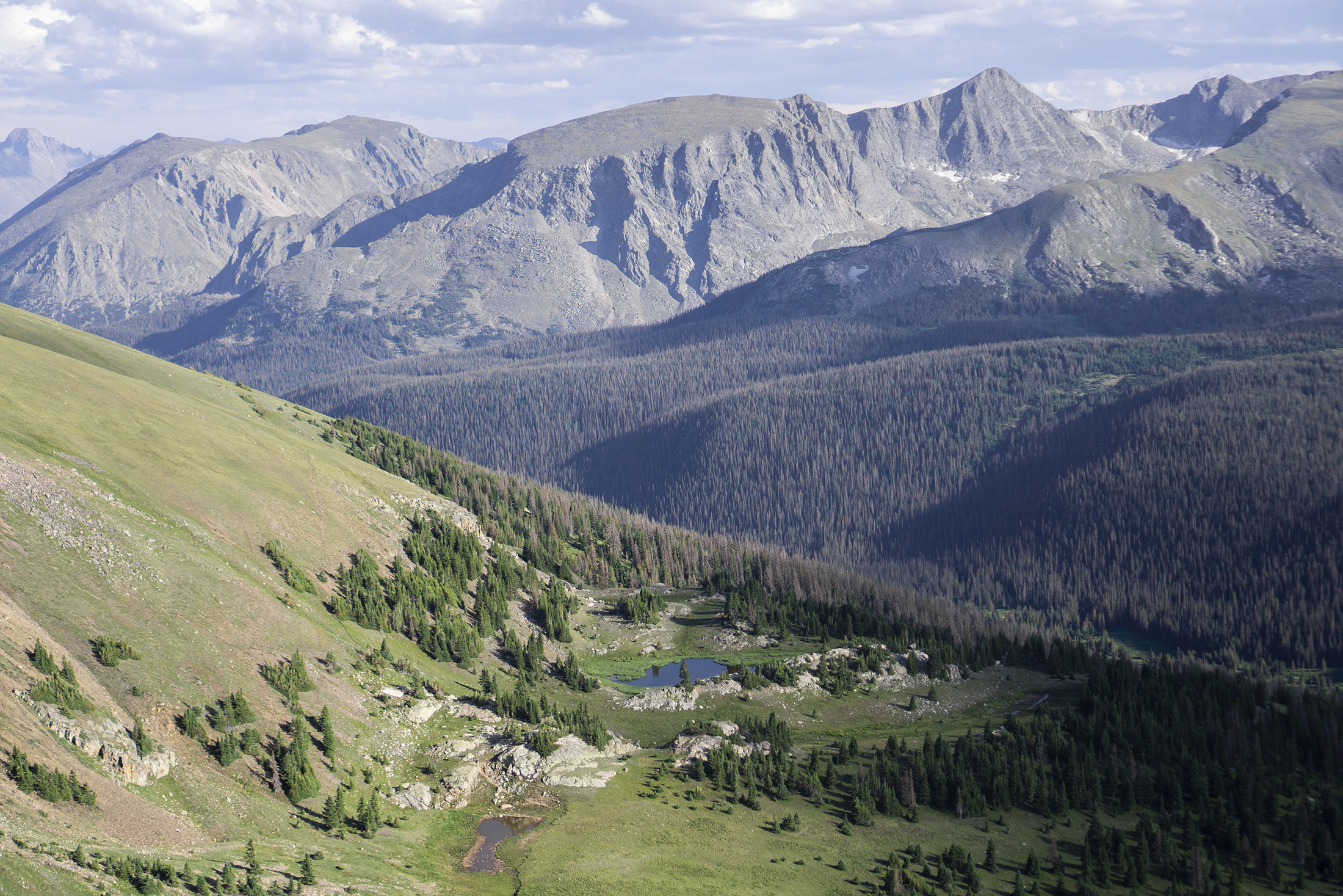 View from Trail Ridge Road, Rocky Mountain National Park / Darker than Green