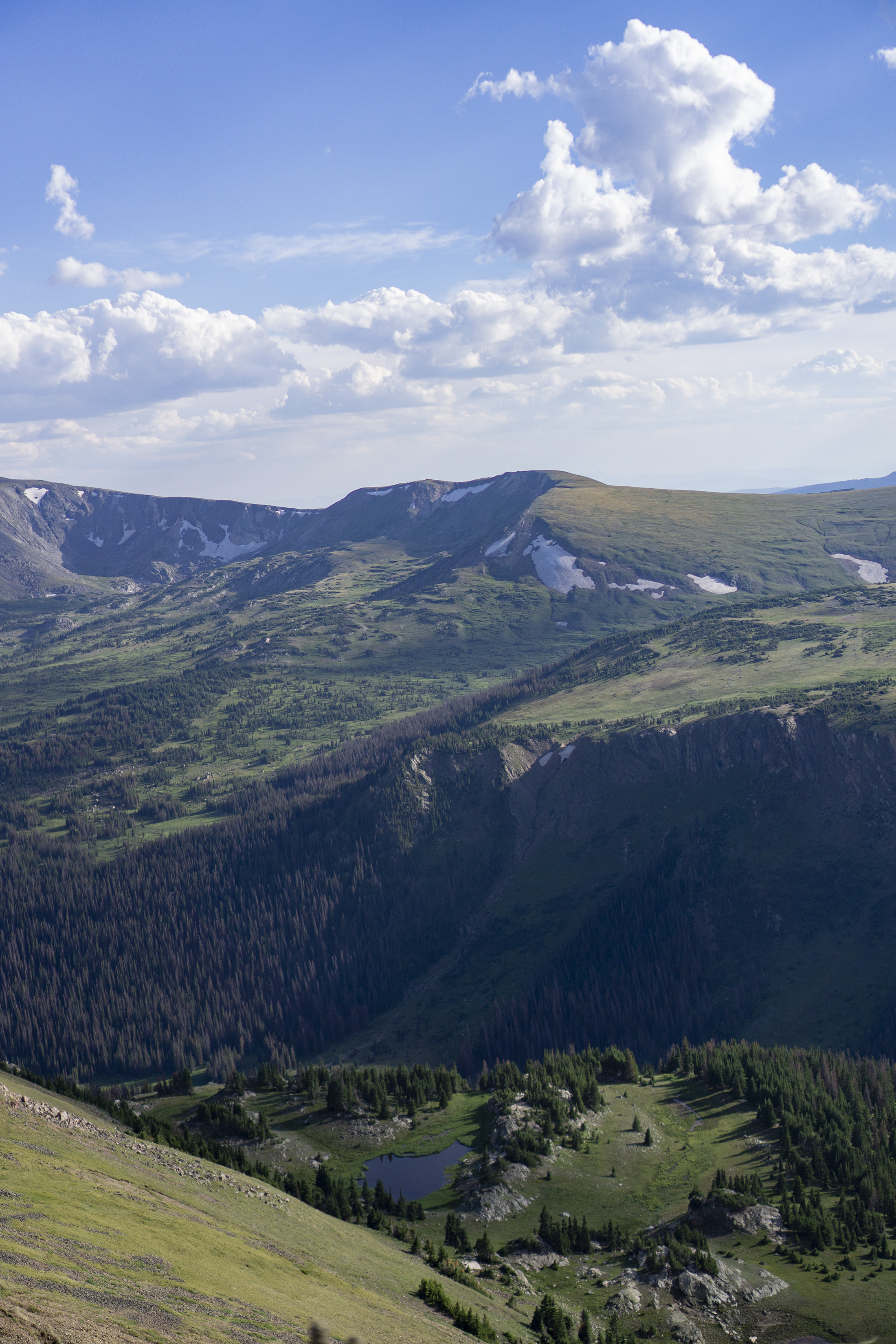 View from Trail Ridge Road, Rocky Mountain National Park / Darker than Green