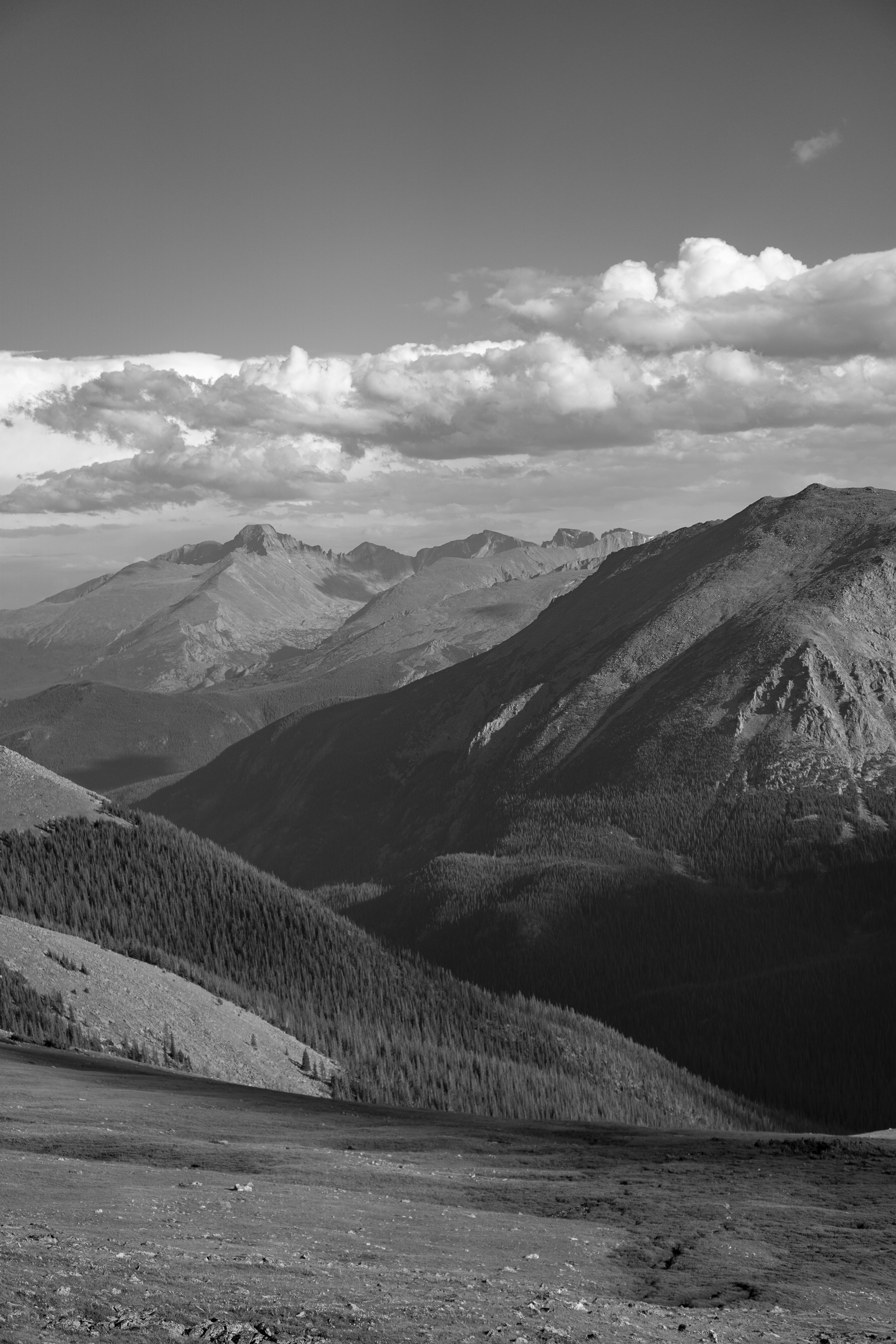 Vast view from Trail Ridge Road, Rocky Mountain National Park / Darker than Green
