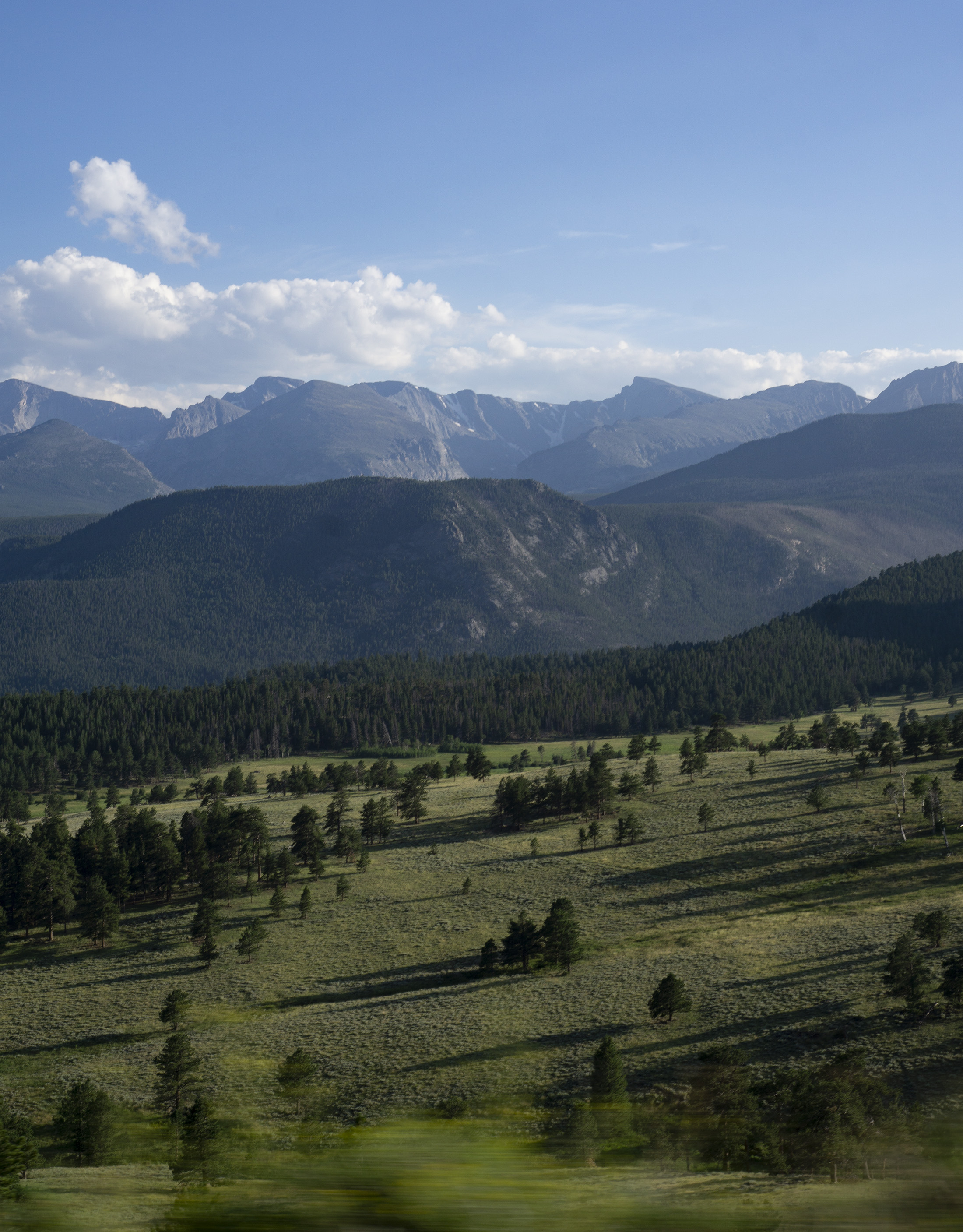 Late afternoon trees casting shadows, Rocky Mountain National Park / Darker than Green